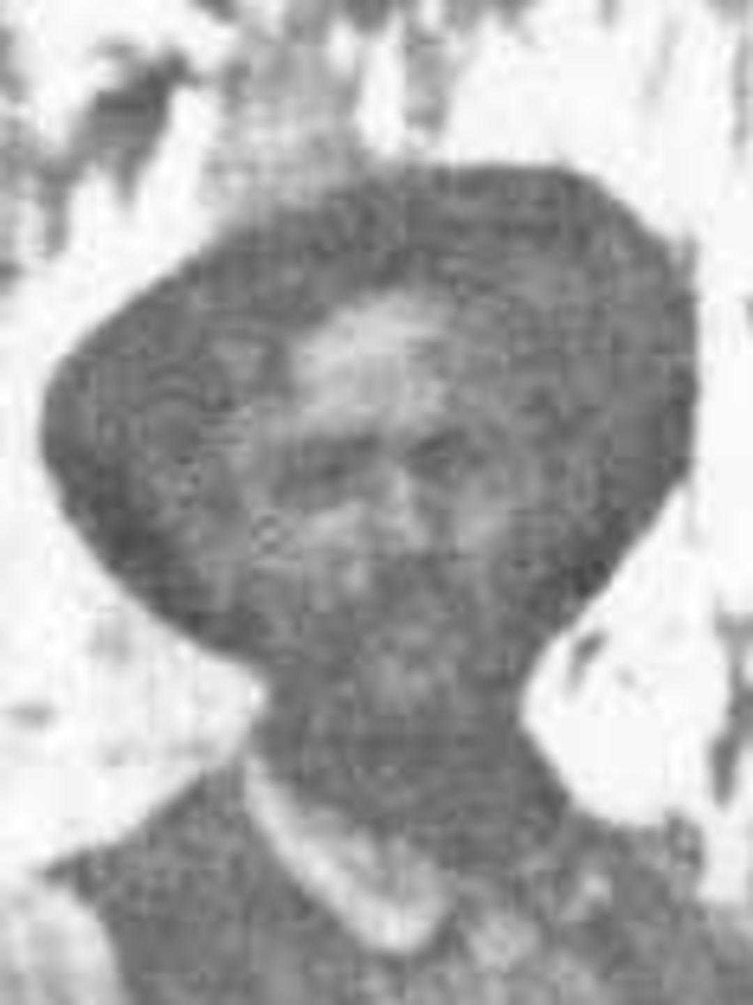 John Carson Jr. (1848 - 1926) Profile